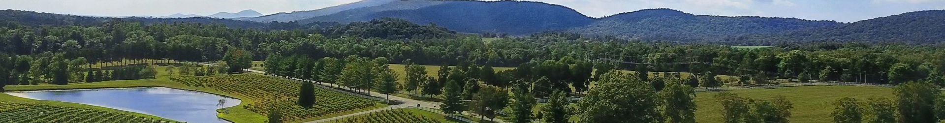 Vineyard View Front Drone 2048X1152 Copy